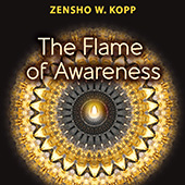 Book: The Flame of Awareness